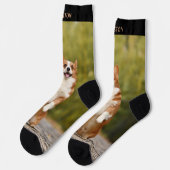 おもしろい名前をカスタムするとペット写真 ソックス (左)