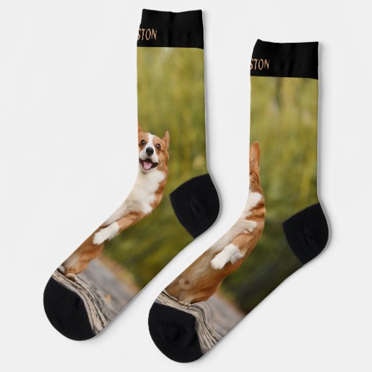 おもしろい名前をカスタムするとペット写真 ソックス (左)