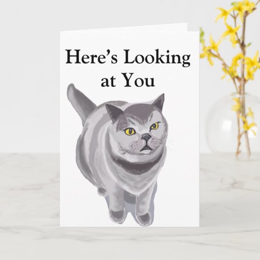 おもしろい太った猫 カード (黄色い花)