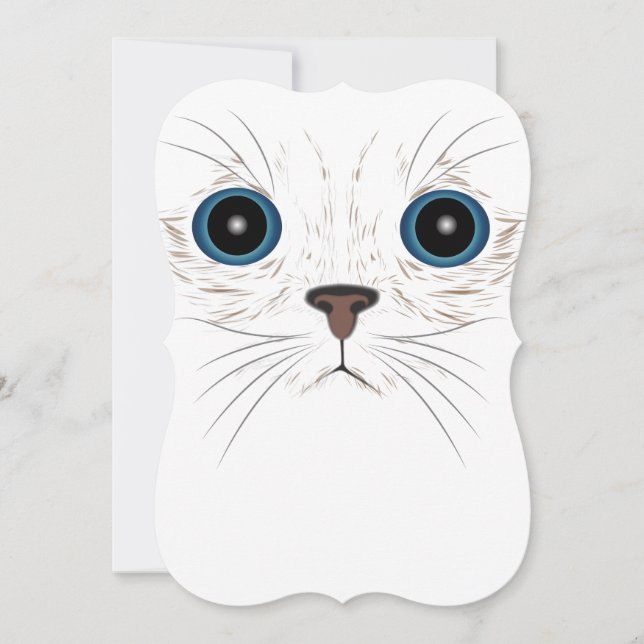 おもしろい子猫顔 (正面)