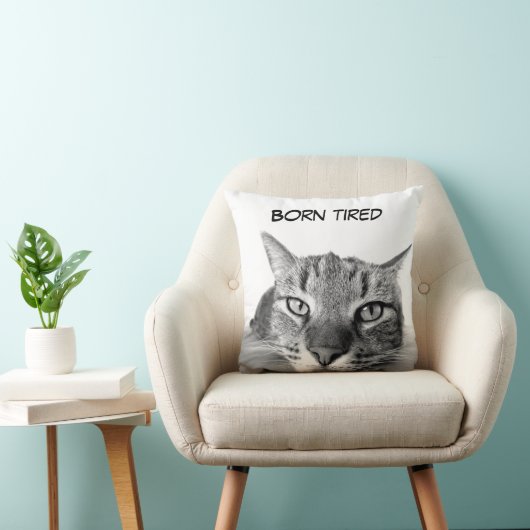 おもしろい子猫 クッション (椅子)