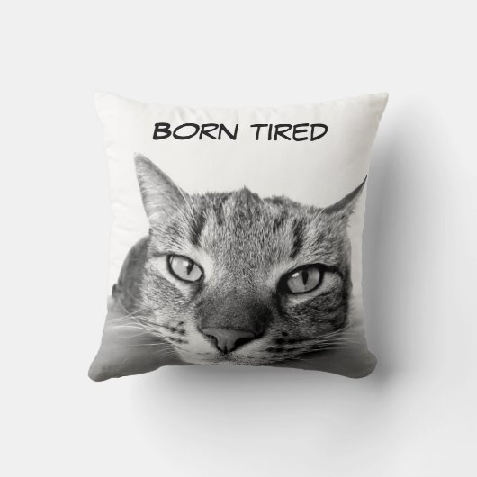 おもしろい子猫 クッション (裏面)