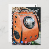 おもしろい実在て生活猫 ポストカード (正面/裏面)