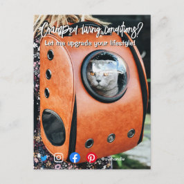 おもしろい実在て生活猫 ポストカード