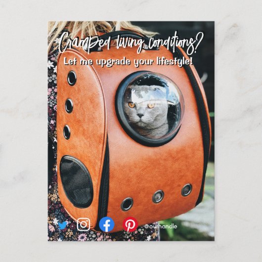 おもしろい実在て生活猫 ポストカード (正面)