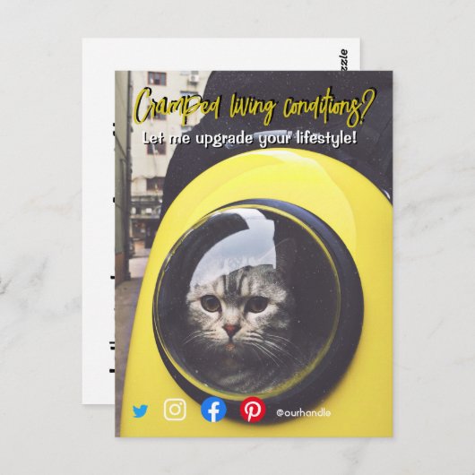 おもしろい実在て生活猫 ポストカード (正面/裏面)