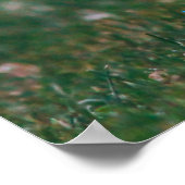 おもしろい実在不動産は次のホームドッグのposを嗅ぎ出す ポスター (角)