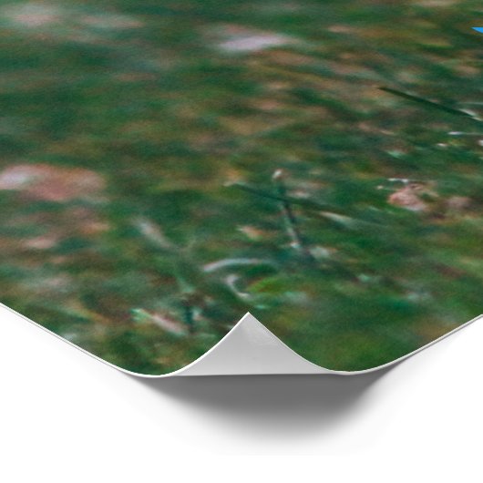 おもしろい実在不動産は次のホームドッグのposを嗅ぎ出す ポスター (角)