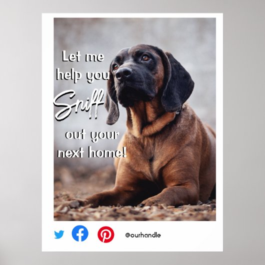 おもしろい実在不動産は次の家の犬を嗅ぎ分ける ポスター (正面)