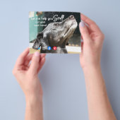 おもしろい実在不動産は次の飼い犬を嗅ぎ分ける チラシ (手)