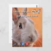 おもしろい実在不動産は、あなたの次の家うさぎ嗅ぎ ポストカード (正面/裏面)