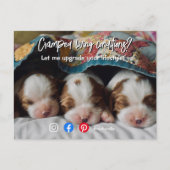 おもしろい実在地葉書 ポストカード (正面)