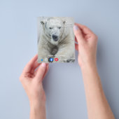 おもしろい実在葉書ロング顔白熊 チラシ (手)