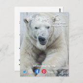 おもしろい実在葉書ロング顔白熊 ポストカード (正面/裏面)