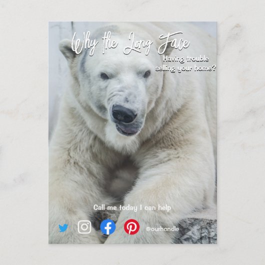 おもしろい実在葉書ロング顔白熊 ポストカード (正面)