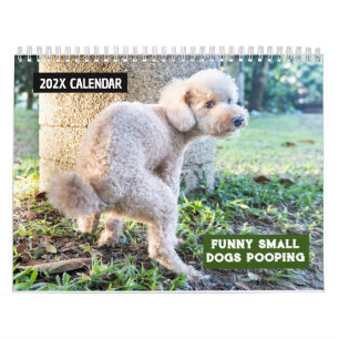 おもしろい小型犬2025 カレンダー