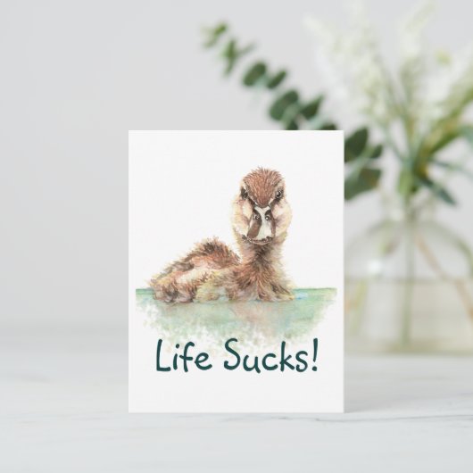 おもしろい引用文、ライフ最低怒、アヒル、バードスクエア ポストカード (スタンド正面)