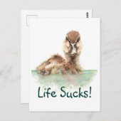 おもしろい引用文、ライフ最低怒、アヒル、バードスクエア ポストカード (正面/裏面)