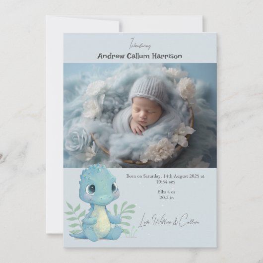 おもしろい恐竜の赤ちゃん男の子の写真 出生発表 (正面)