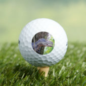 おもしろい恐竜 – Daspletosaurゴルフボール ゴルフボール (インサイチュ 木)