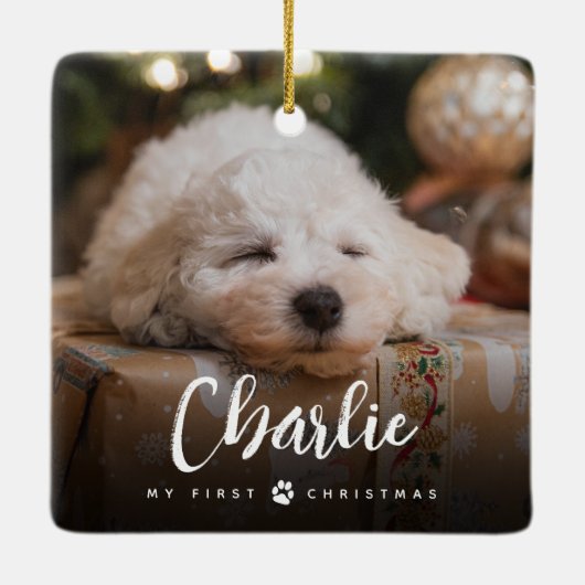 おもしろい手書き型ペットの初めてのクリスマス写真 セラミックオーナメント (裏面)