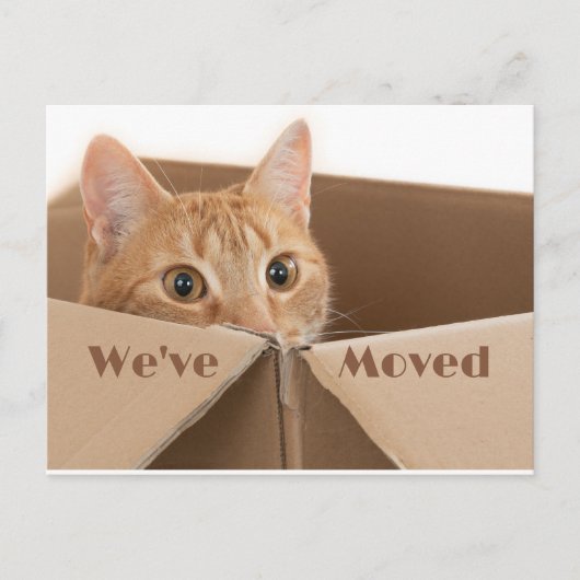 おもしろい新しいアドレス通知、新しいホームポストカード 案内ポストカード (正面)