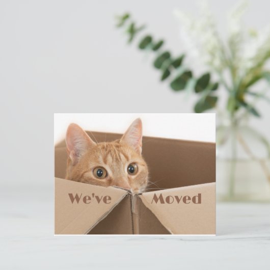 おもしろい新しいアドレス通知、新しいホームポストカード 案内ポストカード (スタンド正面)