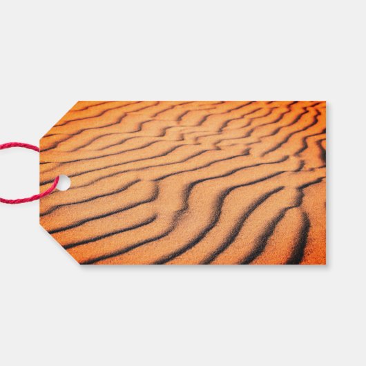 おもしろい'新生児'アクエリアスギフトラベル ギフトタグ (裏面横)