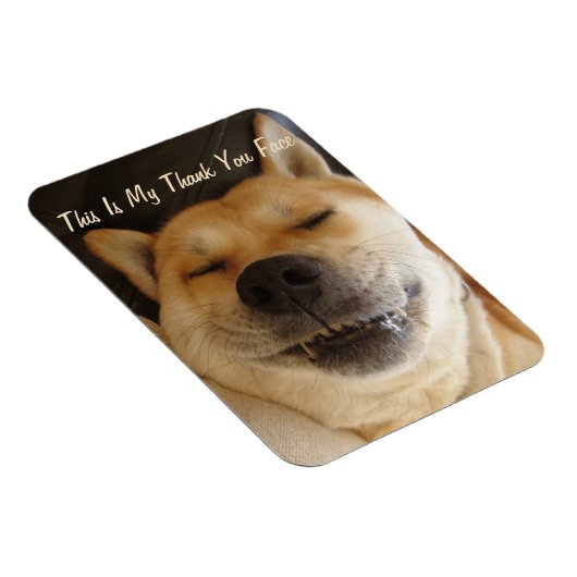 おもしろい日本の可愛いスマイル感謝してい君 マグネット (右側)