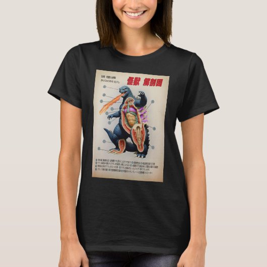 おもしろい日本の解読図 Tシャツ (正面)