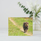 おもしろい時間 ポストカード (スタンド正面)