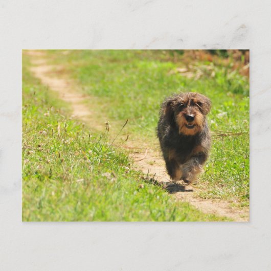 おもしろい時間 ポストカード (正面)