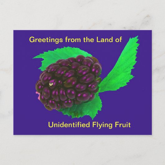 おもしろい未確認の果実のウィーデル製はがき飛んでいるおよび ポストカード (正面)