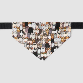 おもしろい柄の猫や子猫が多い