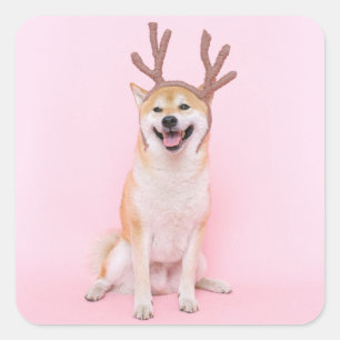 おもしろい柴犬はクリスマス鹿の衣装 スクエアシール
