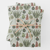 おもしろい植物の恋人アロエヴェラプラントサボテン ラッピングペーパーシート (インサイチュ)