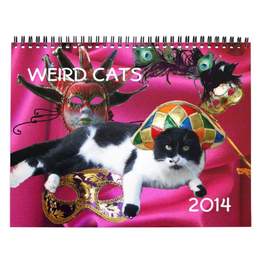 おもしろい漫画が猫を話す風変わり2014 カレンダー (カバー)