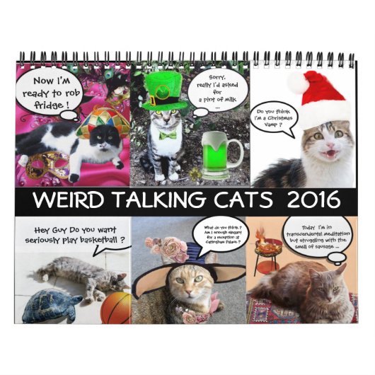 おもしろい漫画が猫を話す風変わり2016 カレンダー (カバー)