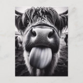 おもしろい牛の白黒 ポストカード (正面)