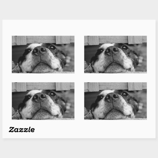 おもしろい犬がフェンスの下に貼り付いて、ブーを覗く 長方形シール (シート)