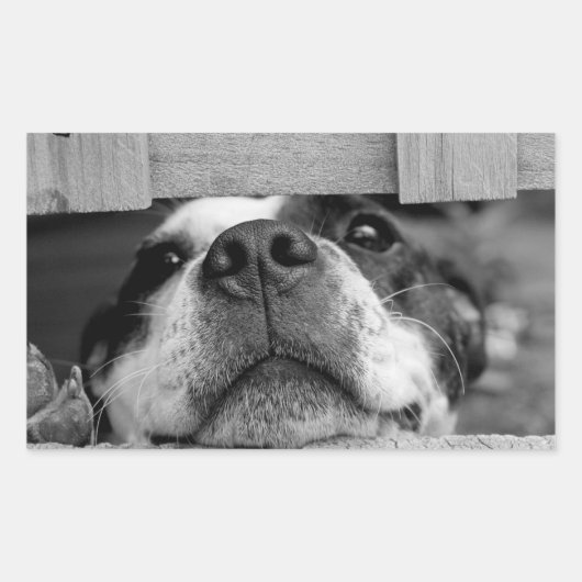 おもしろい犬がフェンスの下に貼り付いて、ブーを覗く 長方形シール (正面)