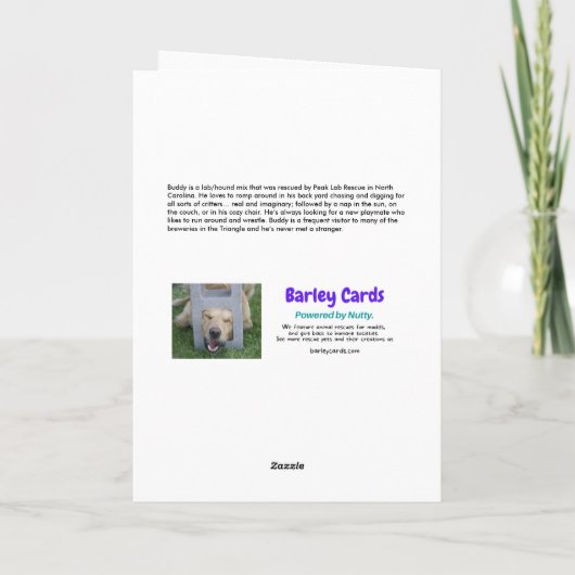 おもしろい犬が不気味おやつをあさる カード (裏面)