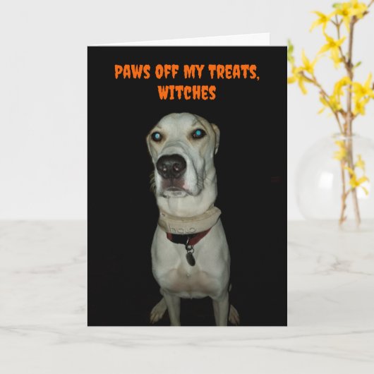 おもしろい犬が不気味おやつをあさる カード (黄色い花)