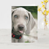 おもしろい犬が写真を舌で突き出す カード (黄色い花)