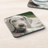 おもしろい犬が写真を舌で突き出す コースター (左側)