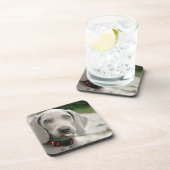 おもしろい犬が写真を舌で突き出す コースター (右側)