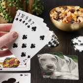 おもしろい犬が写真を舌で突き出す トランプ (インサイチュ)