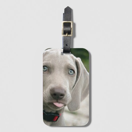 おもしろい犬が写真を舌で突き出す ラゲッジタグ (正面縦)