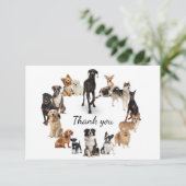 おもしろい犬が飼い犬ありがとう サンキューカード (スタンド正面)