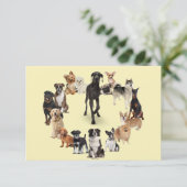 おもしろい犬が飼い犬 カード (スタンド正面)